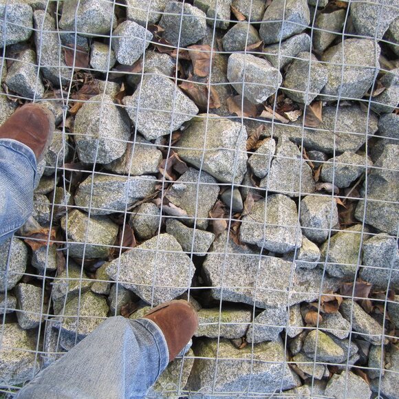 Meet your Posher, Dawn Holly - Picture 1 of 1